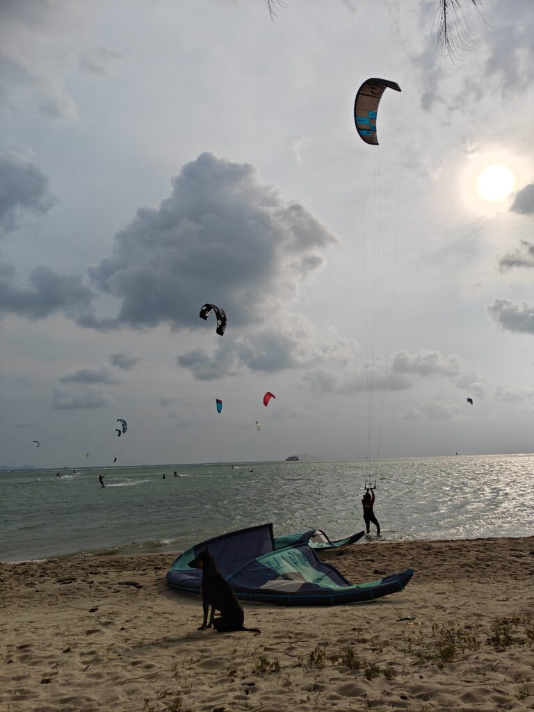 Watching kitesurfing from the beach